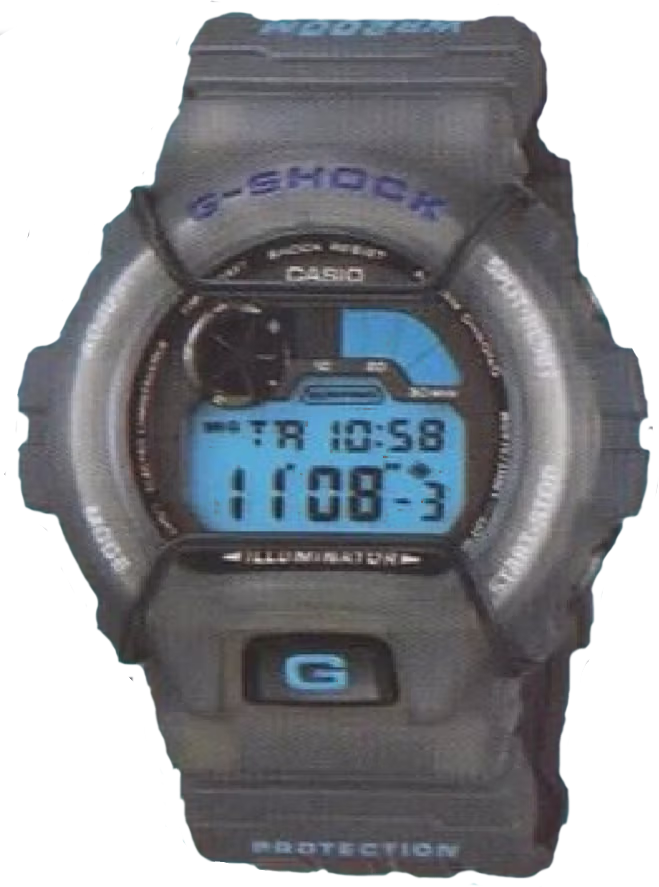 Casio DW-6900S-8V