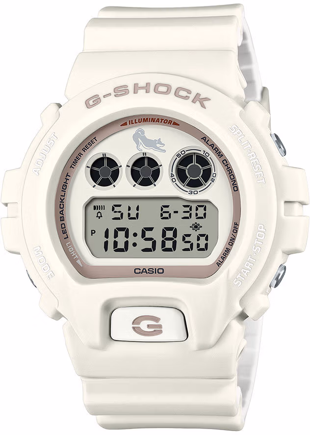 Casio DW-6900SHB-7