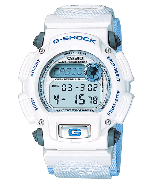 Casio DW-8800AJ-2AT