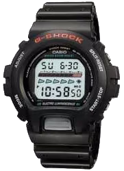 Casio DW-6600E-1V