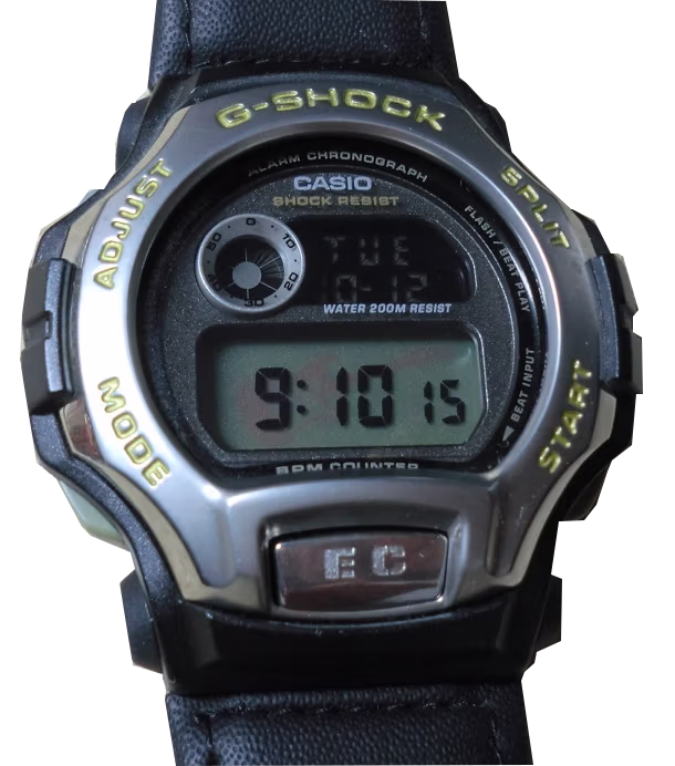 Casio DWM-100EC-1V