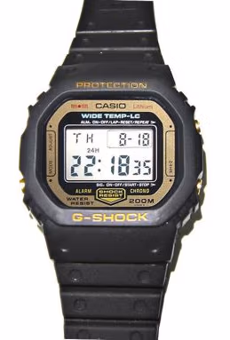Casio WW-5100C-9