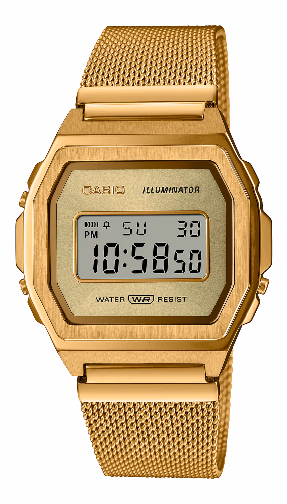 Casio A1000MG-9