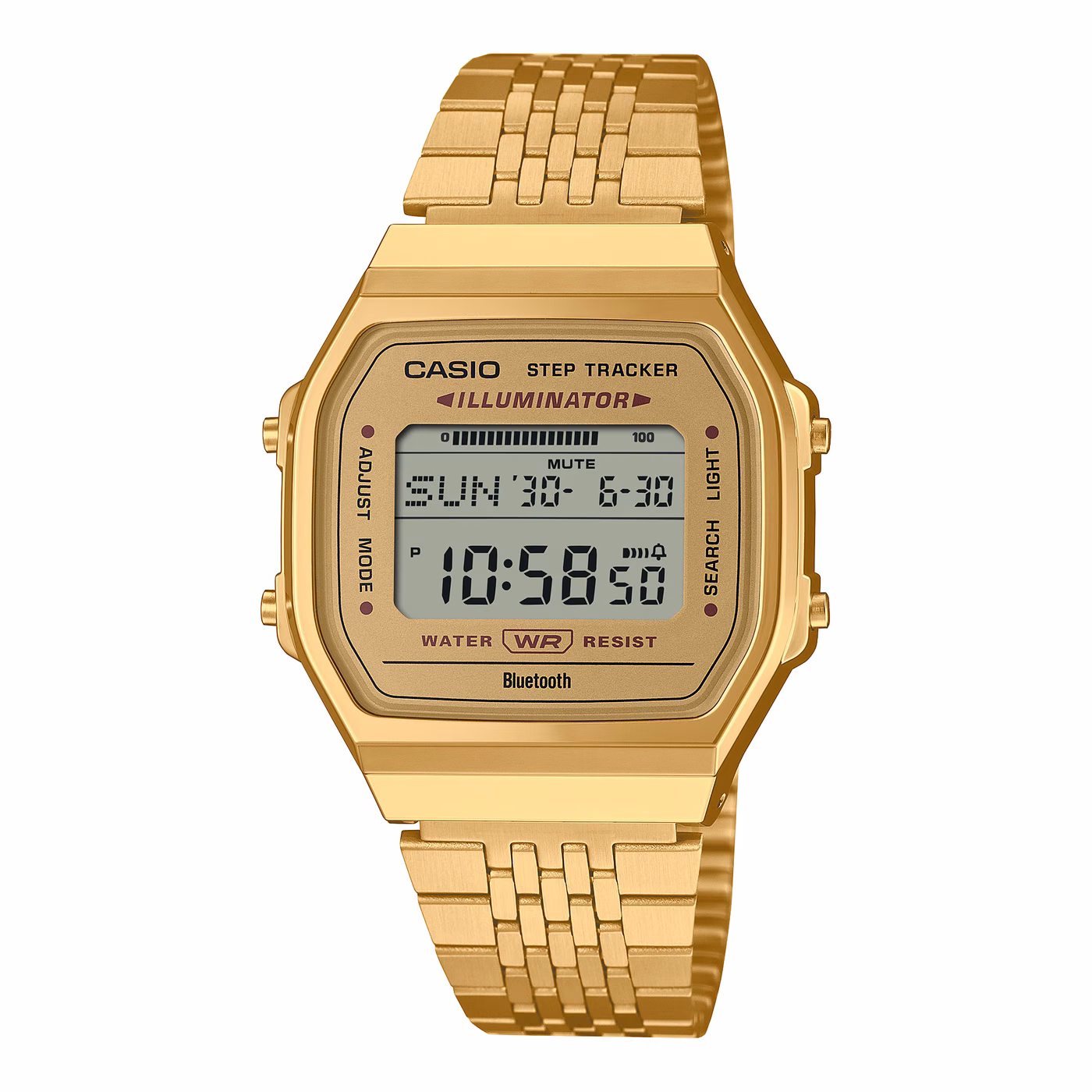 Casio ABL-100WEG-9A