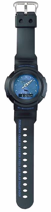 Casio AW-500D-2ET