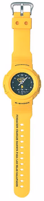 Casio AW-500D-9E2T