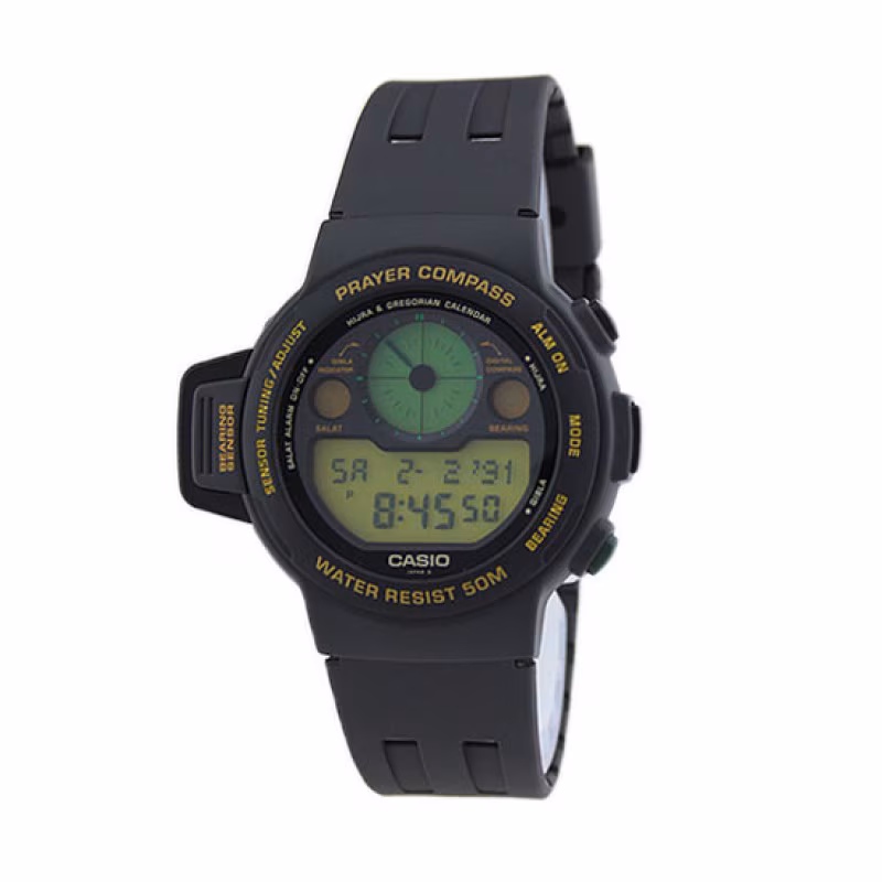 Casio CPW-310