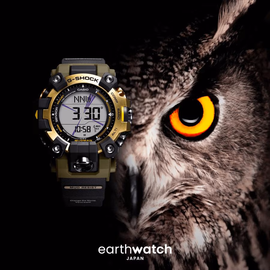 Casio D-20241118161229