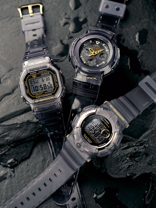 Casio DW-5025D-8JF-BS1