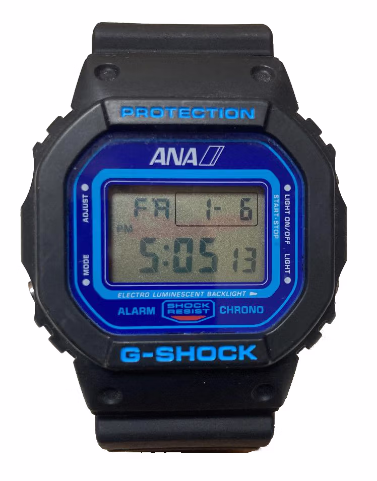 Casio DW-5600-ANA