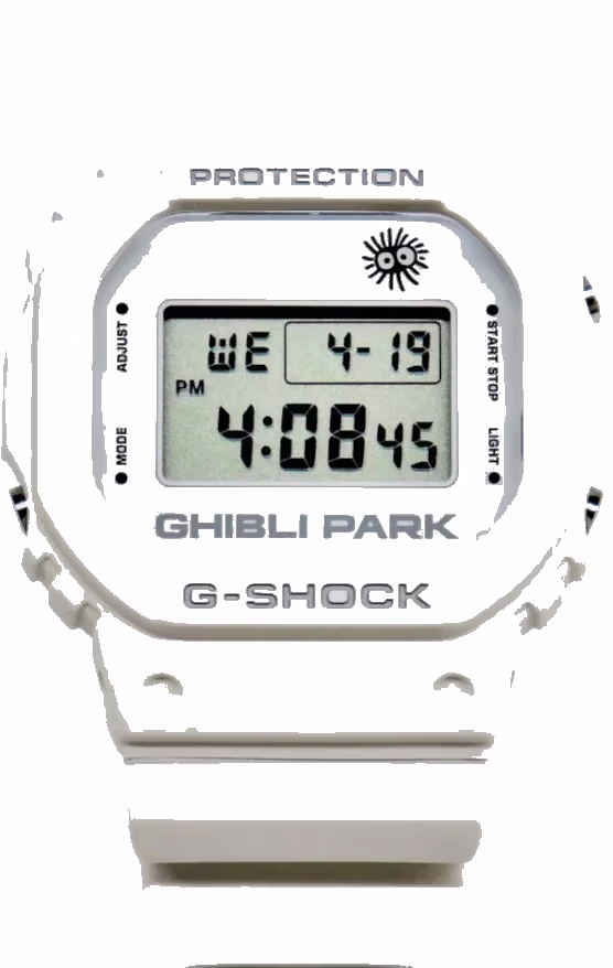 Casio DW-5600-Ghibli