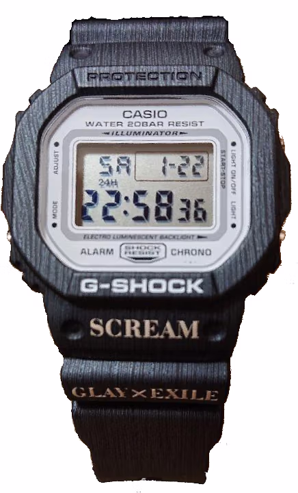 Casio DW-5600-Glay-Exile