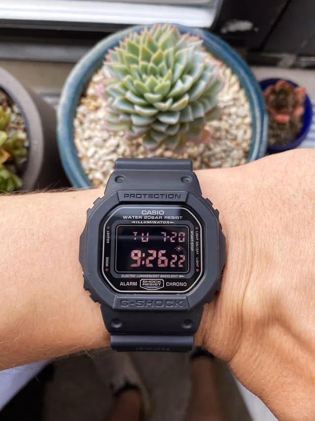 Casio DW-5600MS-1