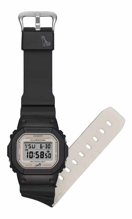 Casio DW-5600SHB-1