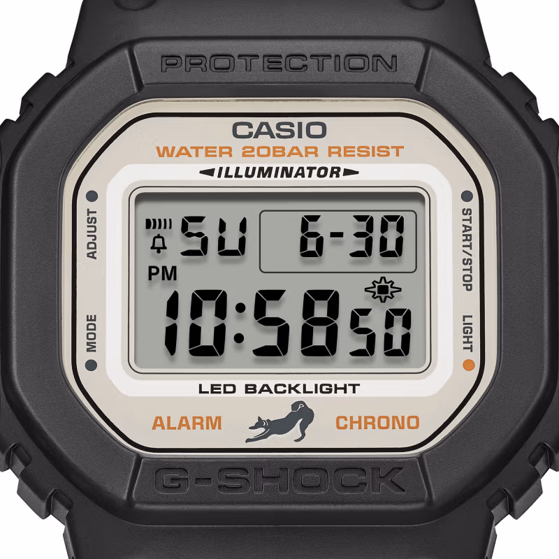 Casio DW-5600SHB-1