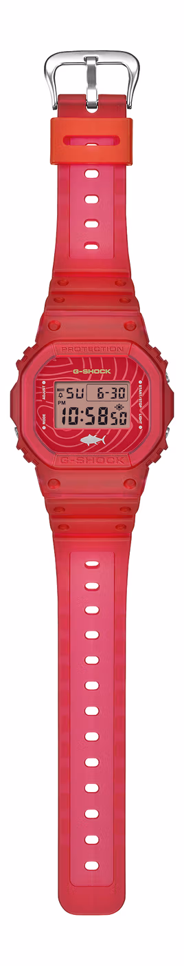 Casio DW-5600SSH-4