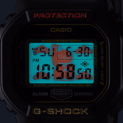 Casio DW-5600TMN-1