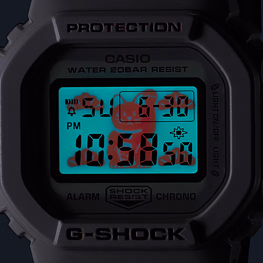Casio DW-5600TMN-7