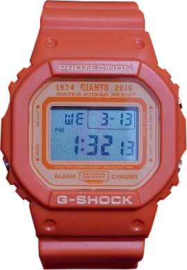 Casio DW-5600YG-4