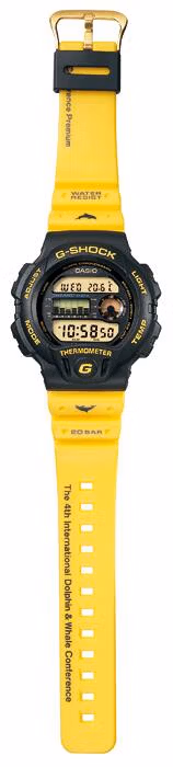 Casio DW-6100DW-9