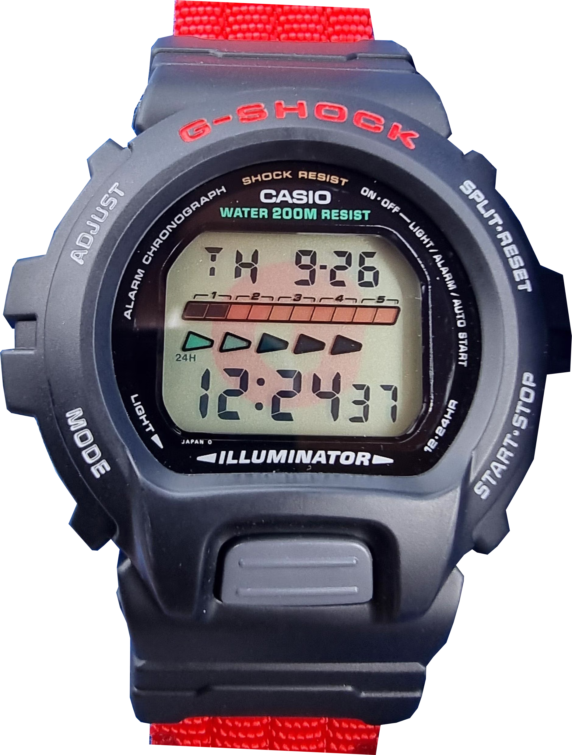 Casio DW-6600S-1V