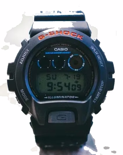 Casio DW-6900-1VLS