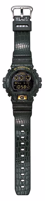 Casio DW-6900CR-3