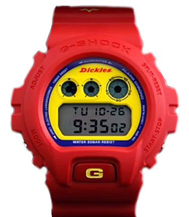 Casio DW-6900FS-Dickies