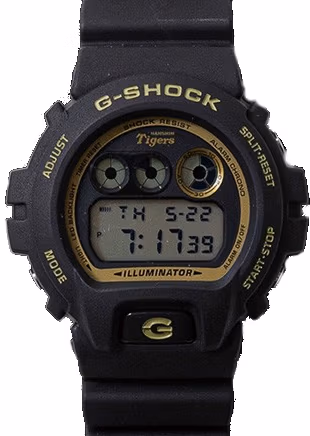 Casio DW-6900HT25-1