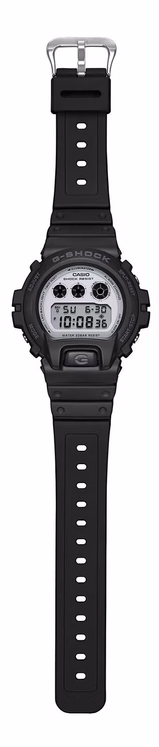 Casio DW-6900WD-1