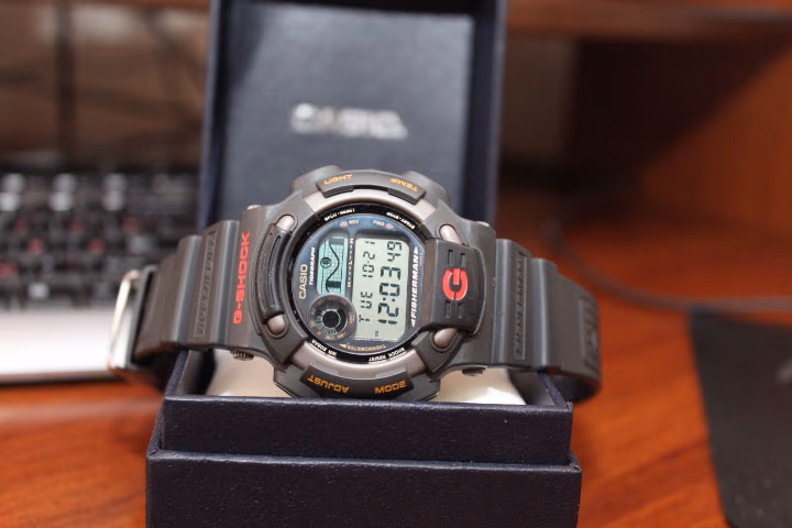 Casio DW-8600-2