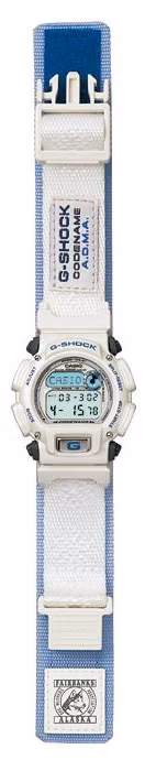 Casio DW-8800AJ-2AT
