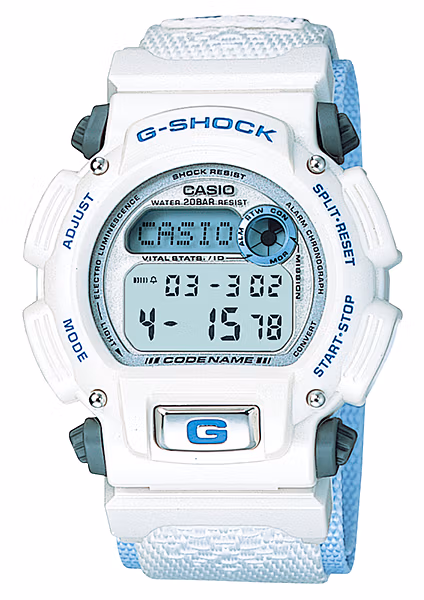 Casio DW-8800AJ-2AT