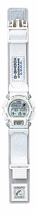 Casio DW-8800AJ-8T