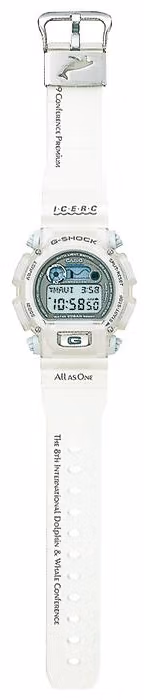 Casio DW-9000K-8T