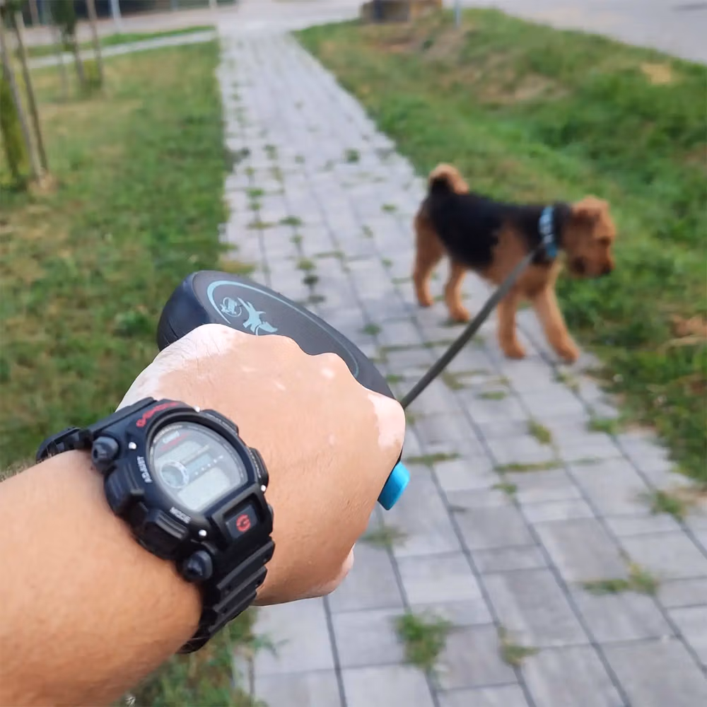 Casio DW-9052-1V