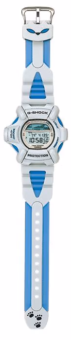 Casio DW-9100BD-2T