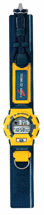 Casio DW-9550HB-9T