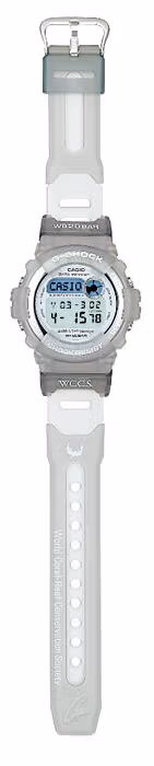 Casio DW-9600WC-8T