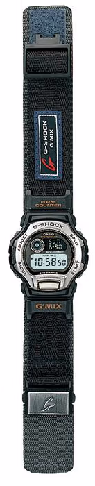 Casio DWM-100-1T