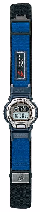 Casio DWM-100-2T