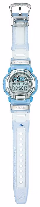 Casio DWM-100WC-2T