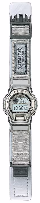 Casio DWM-102RX-8T