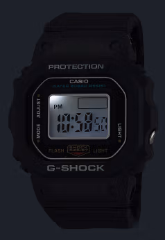 Casio DWN-5600-1