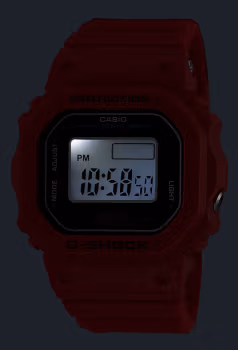 Casio DWN-5600-4