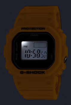 Casio DWN-5600-9