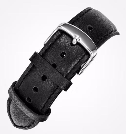 Casio EFS-S510L-1A