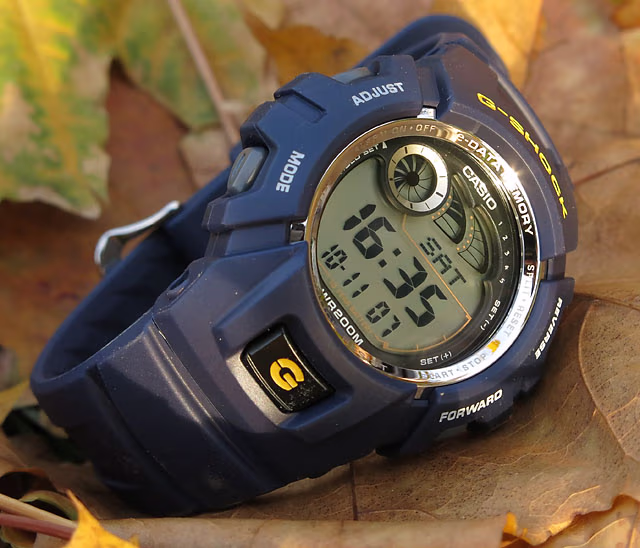 Casio G-2900-011
