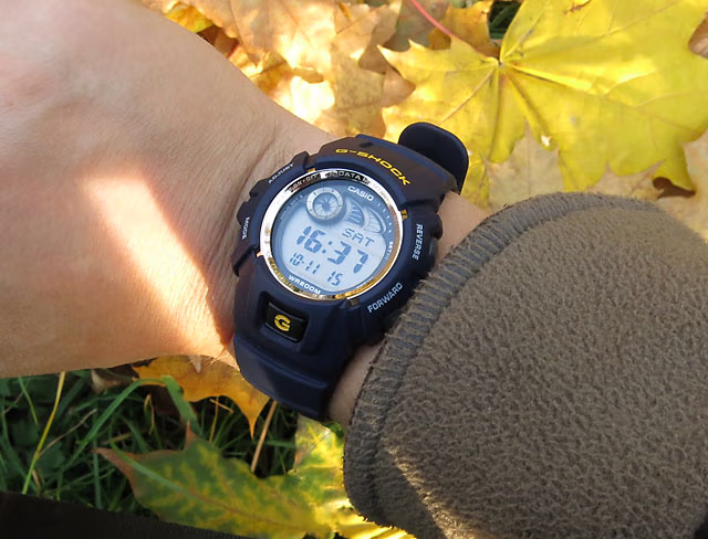 Casio G-2900-018