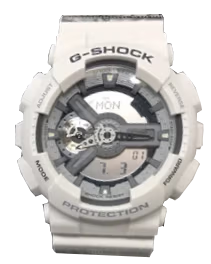Casio GA-110_Scape_One_Dollar